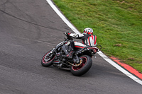 Advanced Group Silver_Grey Bikes